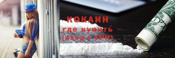 гашик Алексин