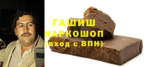 гашик Алексин