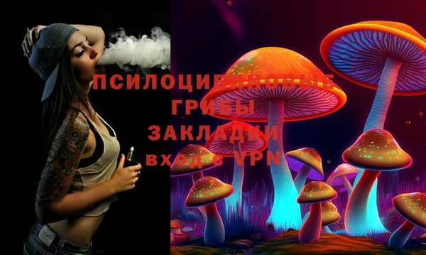 гашик Алзамай